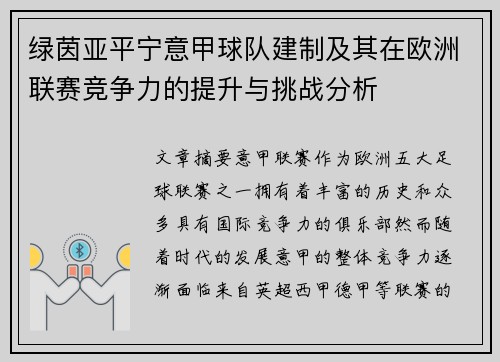 绿茵亚平宁意甲球队建制及其在欧洲联赛竞争力的提升与挑战分析